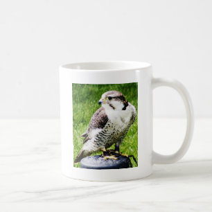 Fågel av Peregrinefalken för rov #2- Kaffemugg