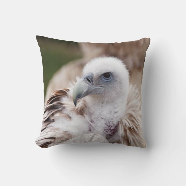 Fågel av rovet #7-Vulture Kudde (Framsida)
