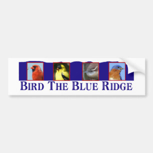 Fågel blåtten Ridge Bildekal