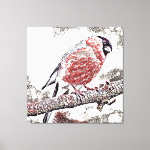Fågel, Bullfinch, Male Canvastryck