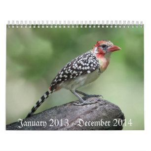 Fågel Calaender 2013-2014 Kalender