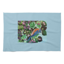 Fågel, fåglar och fler fåglar!