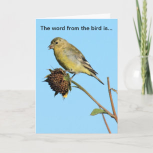 Fågel (Finch) på torrt födelsedagskort för solros Kort
