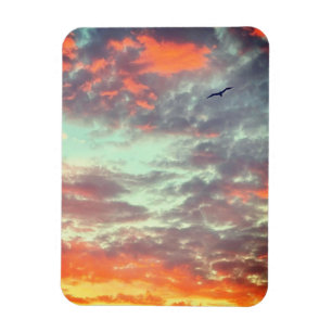 Fågel Flyger Rosa Moln Himmel Foto Magnet