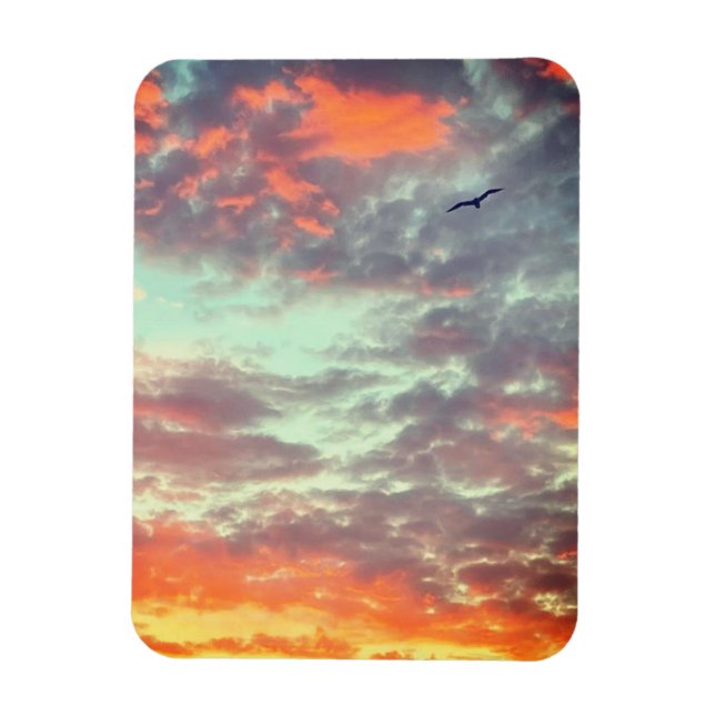 Fågel Flyger Rosa Moln Himmel Foto Magnet (Vertikal)