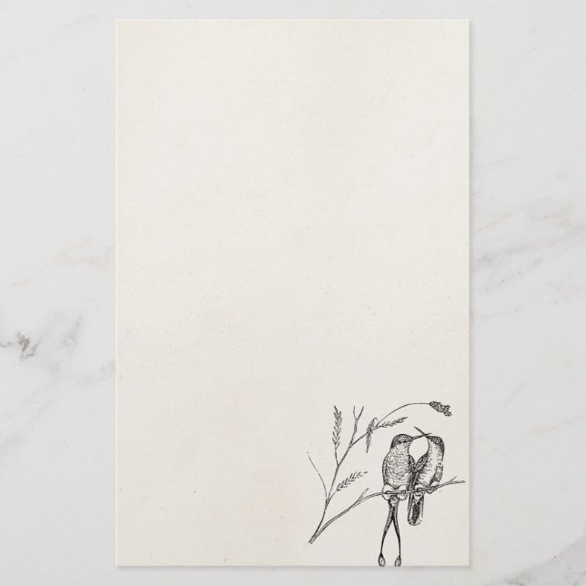 Fågel för personlig för Hummingbird för Brevpapper (Framsida)