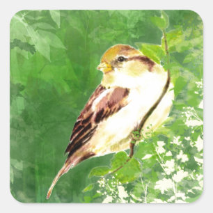 Fågel för vattenfärgsångSparrow i skogkonst Fyrkantigt Klistermärke