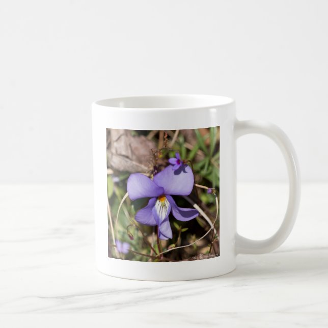 Fågel-Fot Viola med blåmunkar Kaffemugg (Höger)