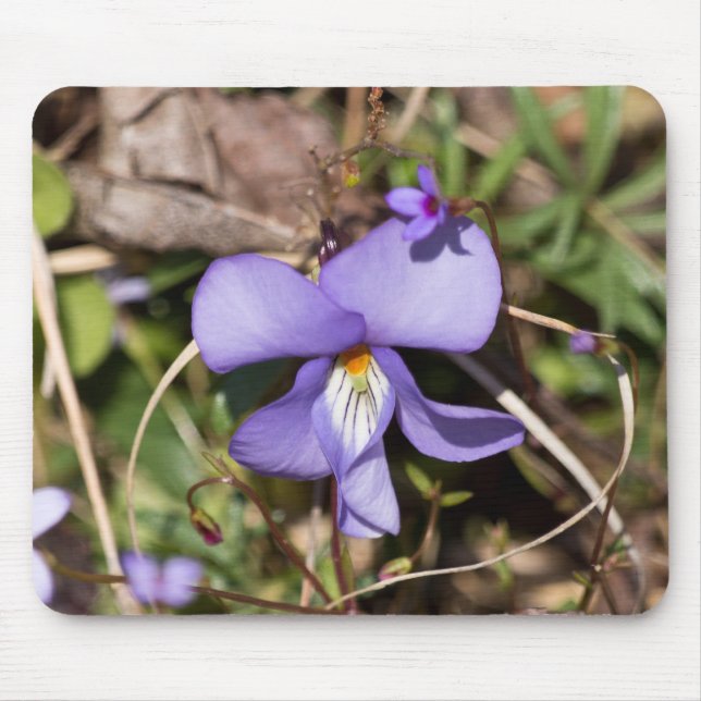 Fågel-Fot Viola med blåmunkar Musmatta (Framsidan)