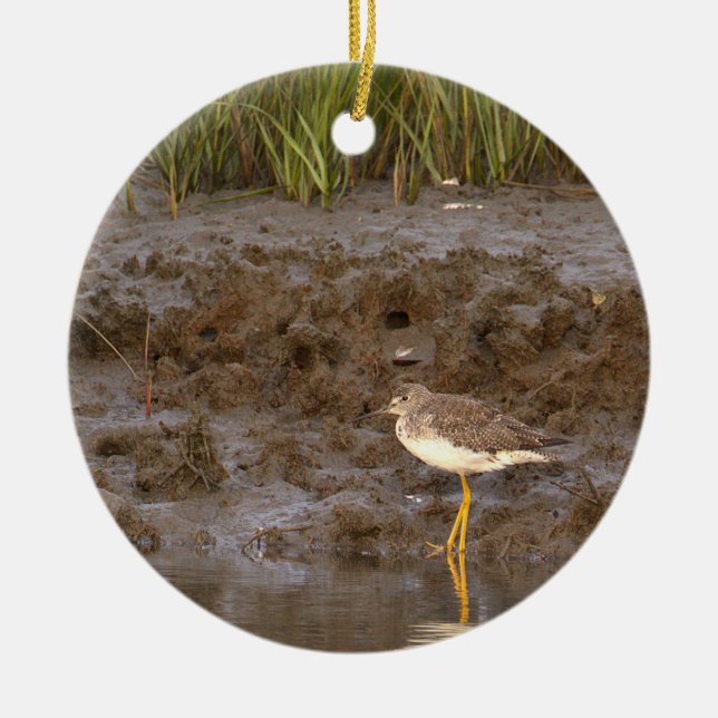 Fågel Foto Ornament (Framsidan)