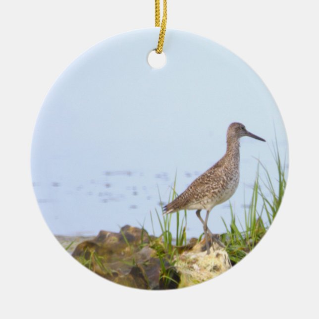 Fågel Foto Ornament  (Framsidan)