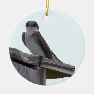 Fågel Foto Ornament