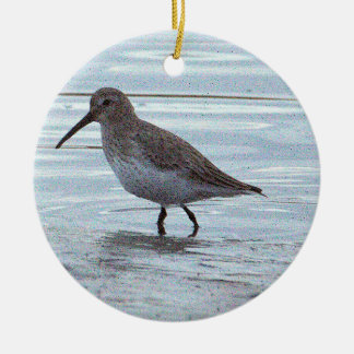 Fågel Foto Ornament 