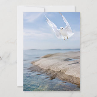 Fågel Fotokort, Kustnatur Present, Ins Tack Kort