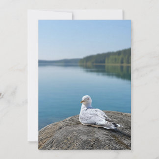 Fågel Fotokort, Kustomnatur Present, Ins Tack Kort