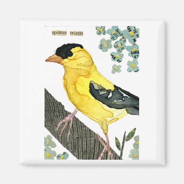 Fågel: Goldfinch Magnet (Framsidan)