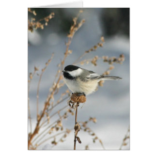 Fågel Hälsningskort