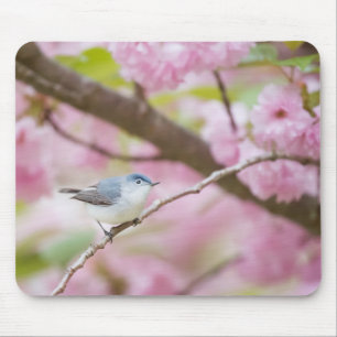 Fågel i Blommar Träd Musmatta