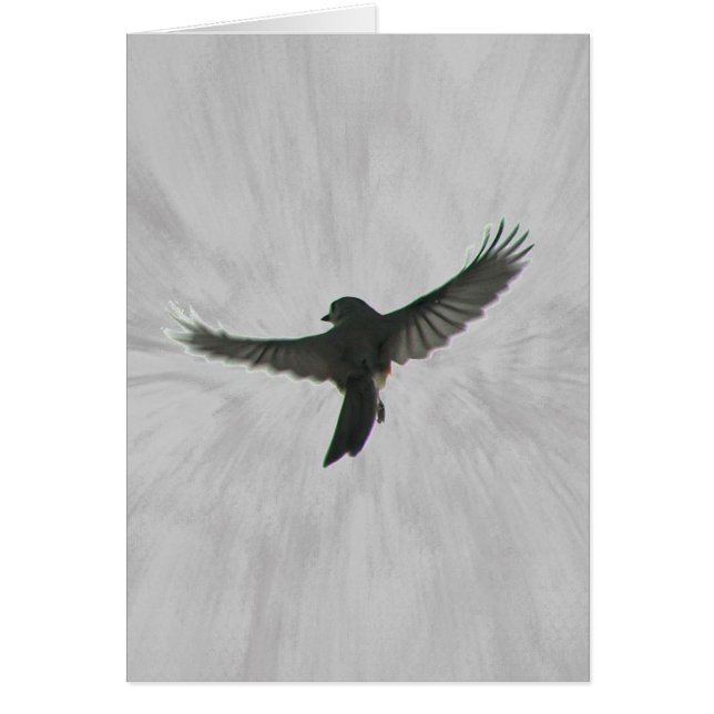 Fågel i flyg hälsningskort (Framsidan)