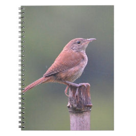 Fågel i Garden Notebook Anteckningsbok