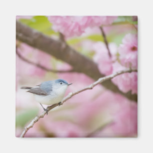 Fågel i Rosa Blommar Träd Magnet