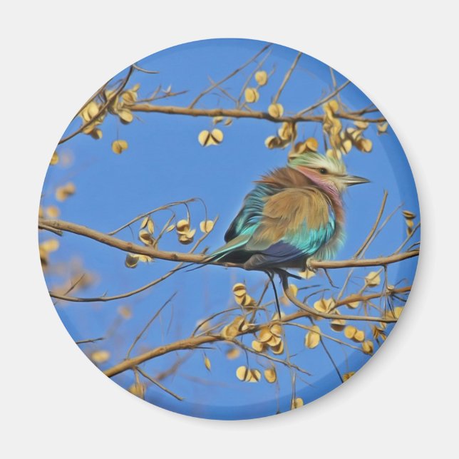 Fågel i träd foto magnet (Framsidan)