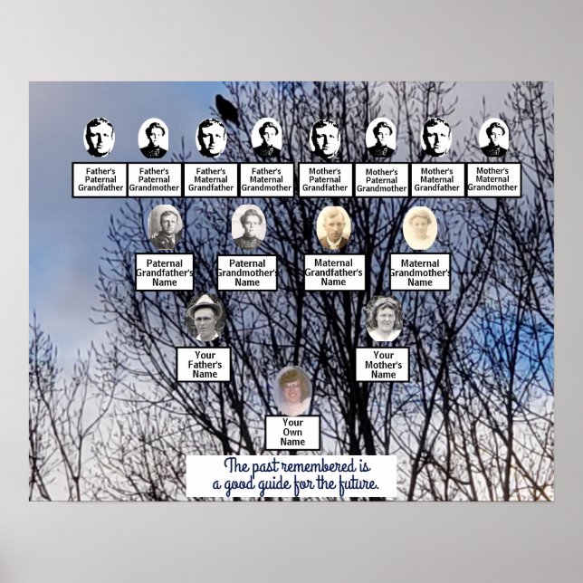 Fågel i Träd Poster i Winter Träd Photo Family (Framsidan)