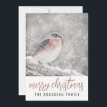 Fågel i Winter Snö God jul Julkort<br><div class="desc">En serene- och söt fågel på vinterjulkortet snö julhelg i ett mjukt naturtema. Lägg till din familj namn.</div>