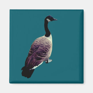 Fågel Magnet