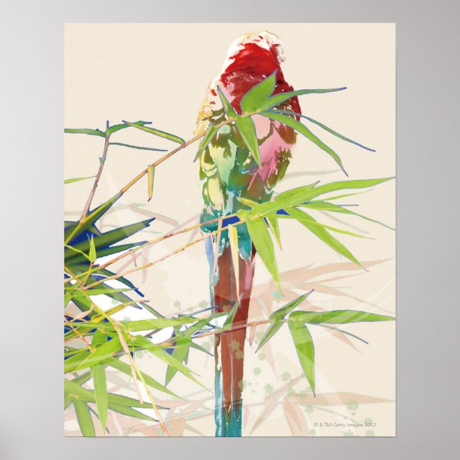 Fågel med Bamboo Löv Poster (Framsidan)