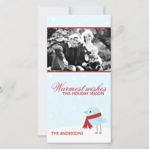 Fågel med Escarf-julkort Julkort