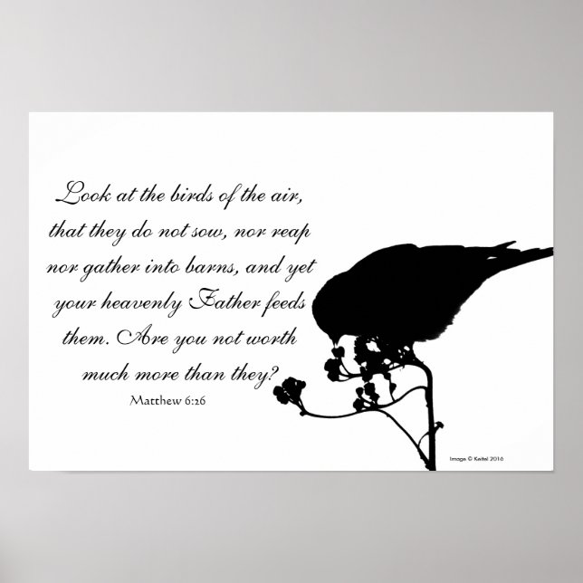 Fågel med Matthew 6:26 Bible Verse Poster (Framsidan)