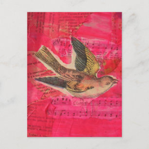 Fågel Mixed Media Hetrosa Bakgrund Vykort