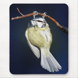 Fågel Musmatta