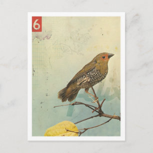 Fågel nr 2 vykort