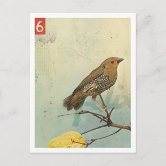 Fågel nr 2 vykort