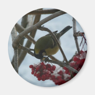 Fågel och bär magnet
