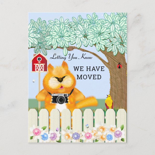 Fågel och katt i Garden | Byte av Adress Vykort (Framsida)