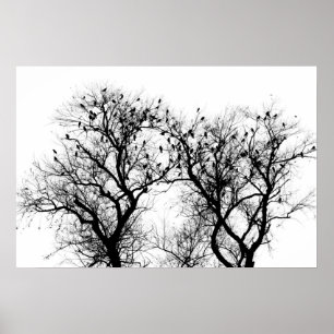 Fågel- och trädsilhouette. poster
