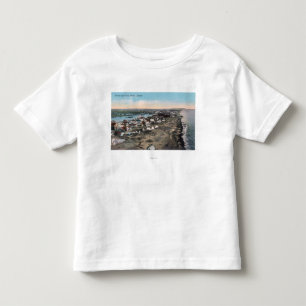 Fågel öga beskådar av TownNome, AK Tee Shirt