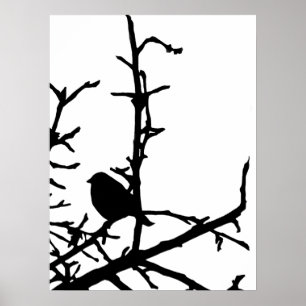 Fågel på en gren poster