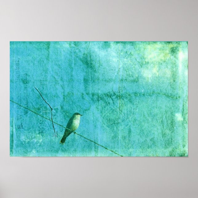 Fågel på en Wire Poster (Framsidan)