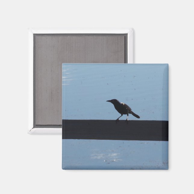 Fågel på ett stängsel magnet (Front/Back)