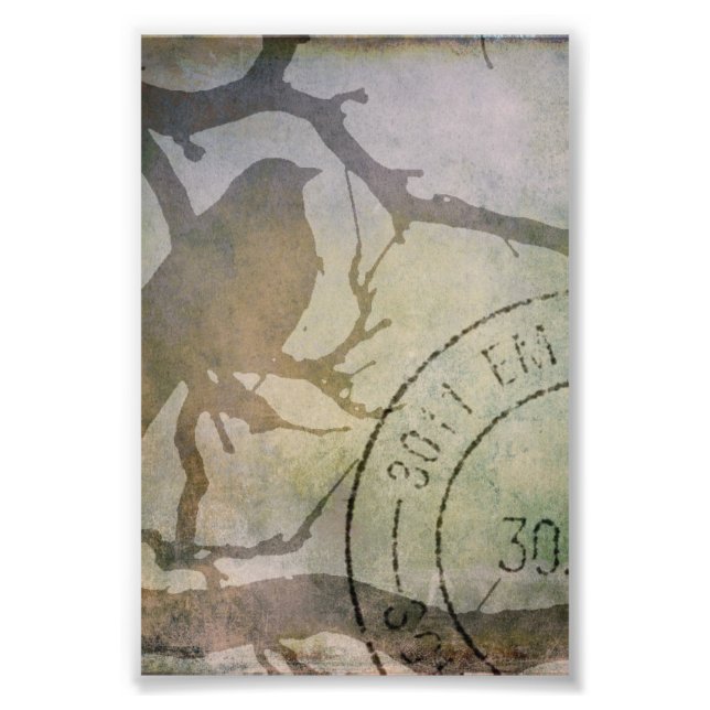 Fågel på Gren Fototryck (Framsidan)