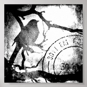 Fågel på Gren, Svarta och vita Poster