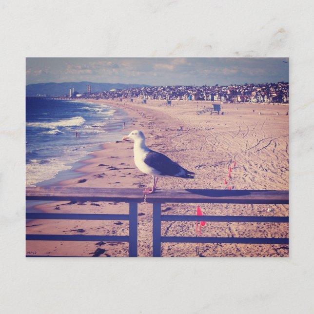 Fågel på järnväg vykort (Framsida)