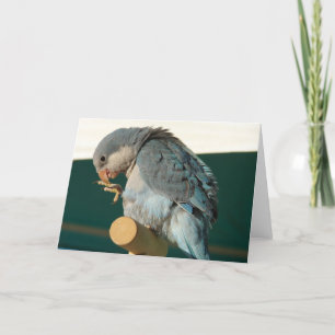 Fågel på Perch Kort