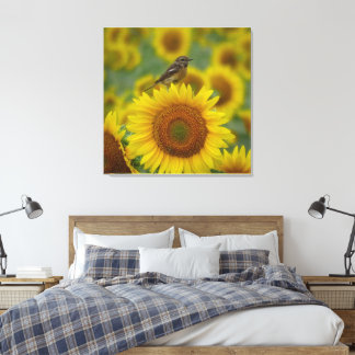 Fågel på solros - naturfotografi Skriv ut Canvastryck
