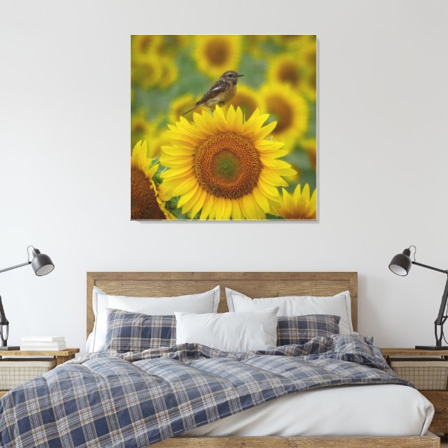 Fågel på solros - naturfotografi Skriv ut Canvastryck (Insitu (sovrum))