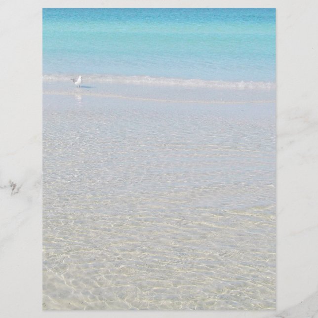 Fågel på stranden (Framsida)